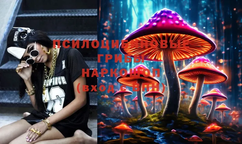 наркотики  Починок  Псилоцибиновые грибы Psilocybe 